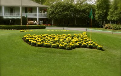 Jay Delsing Previews the 2020 Masters Golf Tournament