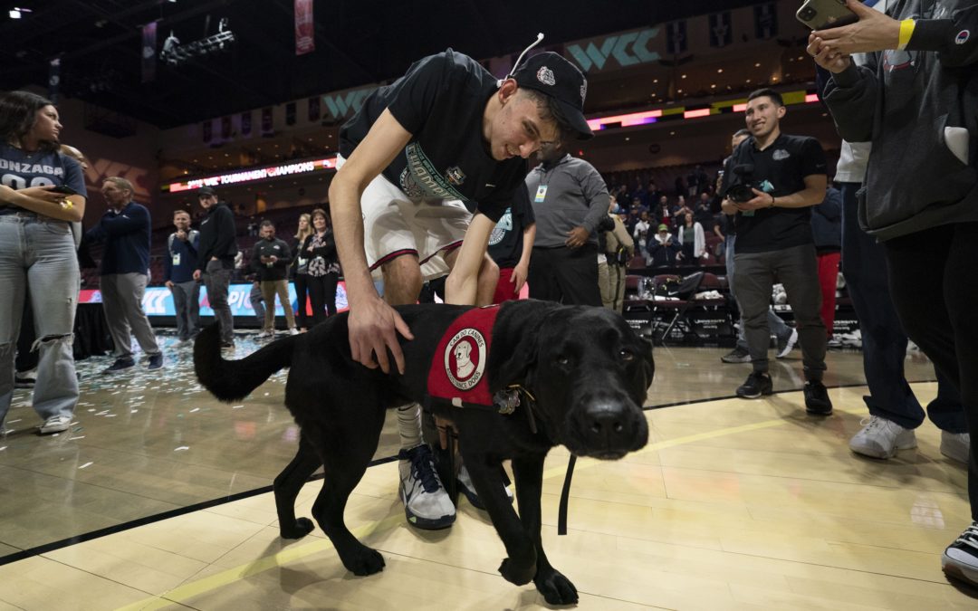 Bernie: A Look At America’s Best Annual Sporting Event, The NCAA Men’s Basketball Tournament