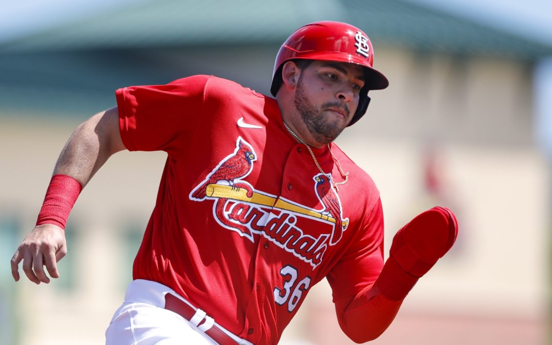 Bernie’s Redbird Review: The Cardinals Are Searching For Runs. I’m Searching For Words.