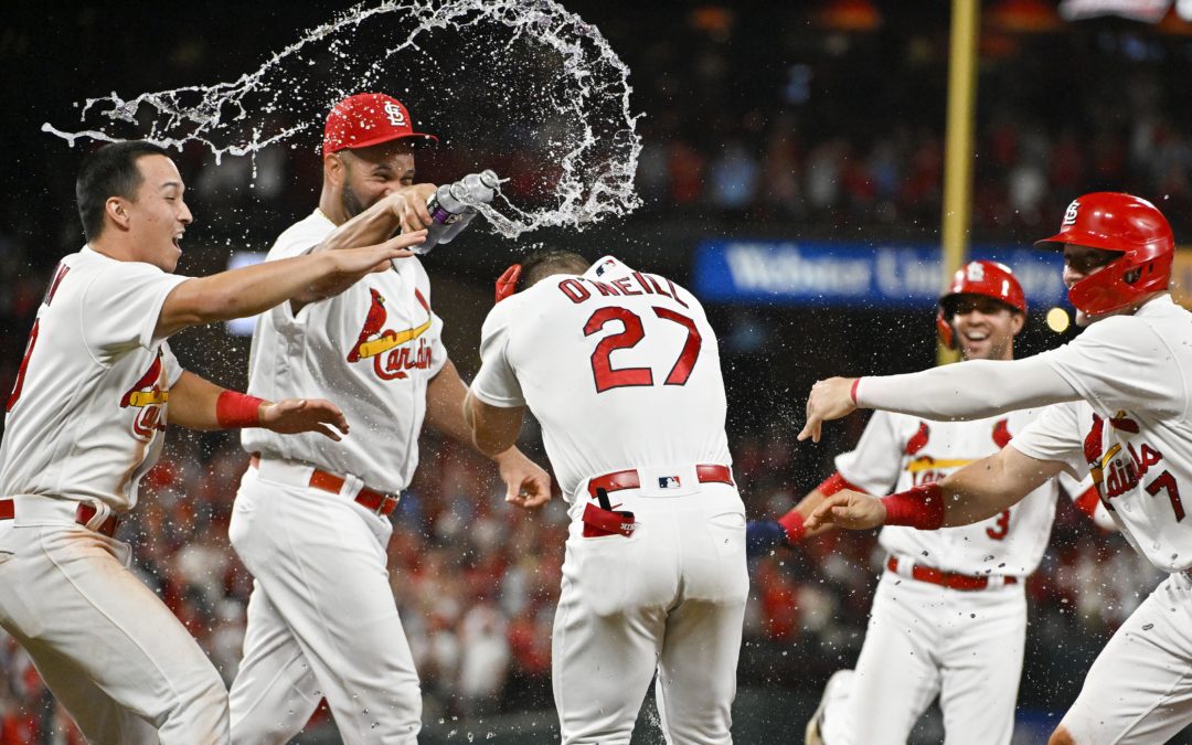 Bernie’s Redbird Review: The Cardinals Elbow Their Way To A Win. Whatever It Takes, Right?