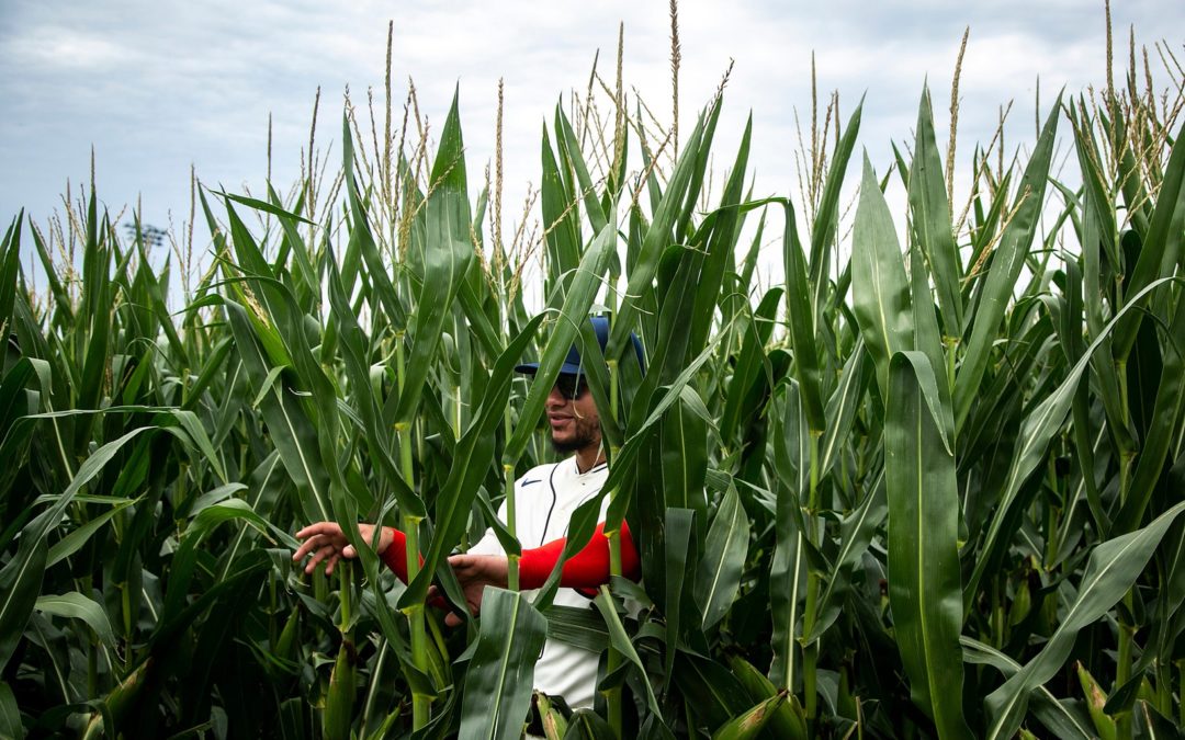 Bernie On Willson Contreras: If You’re Going To Compare Him To Yadi, Make Sure It’s The Correct Version Of Yadi.