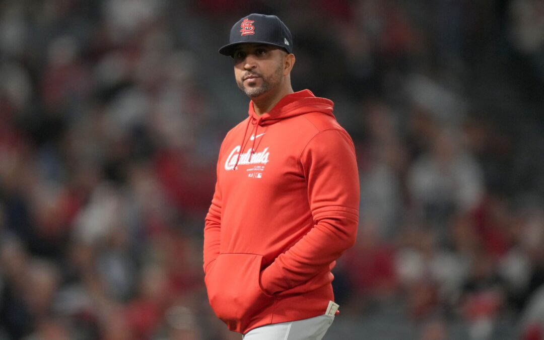 Bernie On The Cardinals: Some Bird Bytes, Loaded With Notes And Nonsense.
