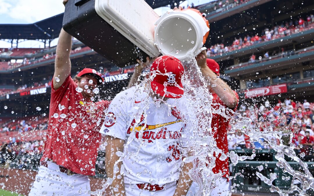 Bernie’s Redbird Review: Tommy Pham, Michael McGreevy And The Power Of Instant Impact For The Cardinals.