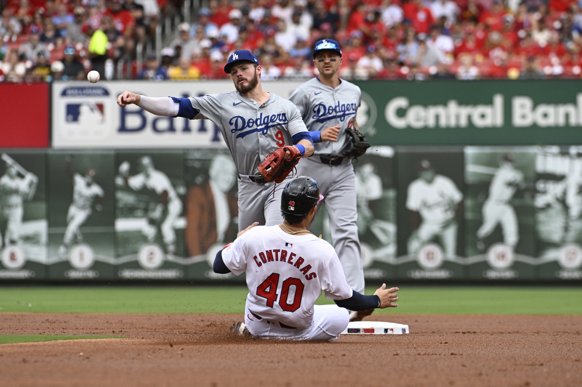 Bernie's Redbird Review At Least I Can Catch Up On My Sleep During