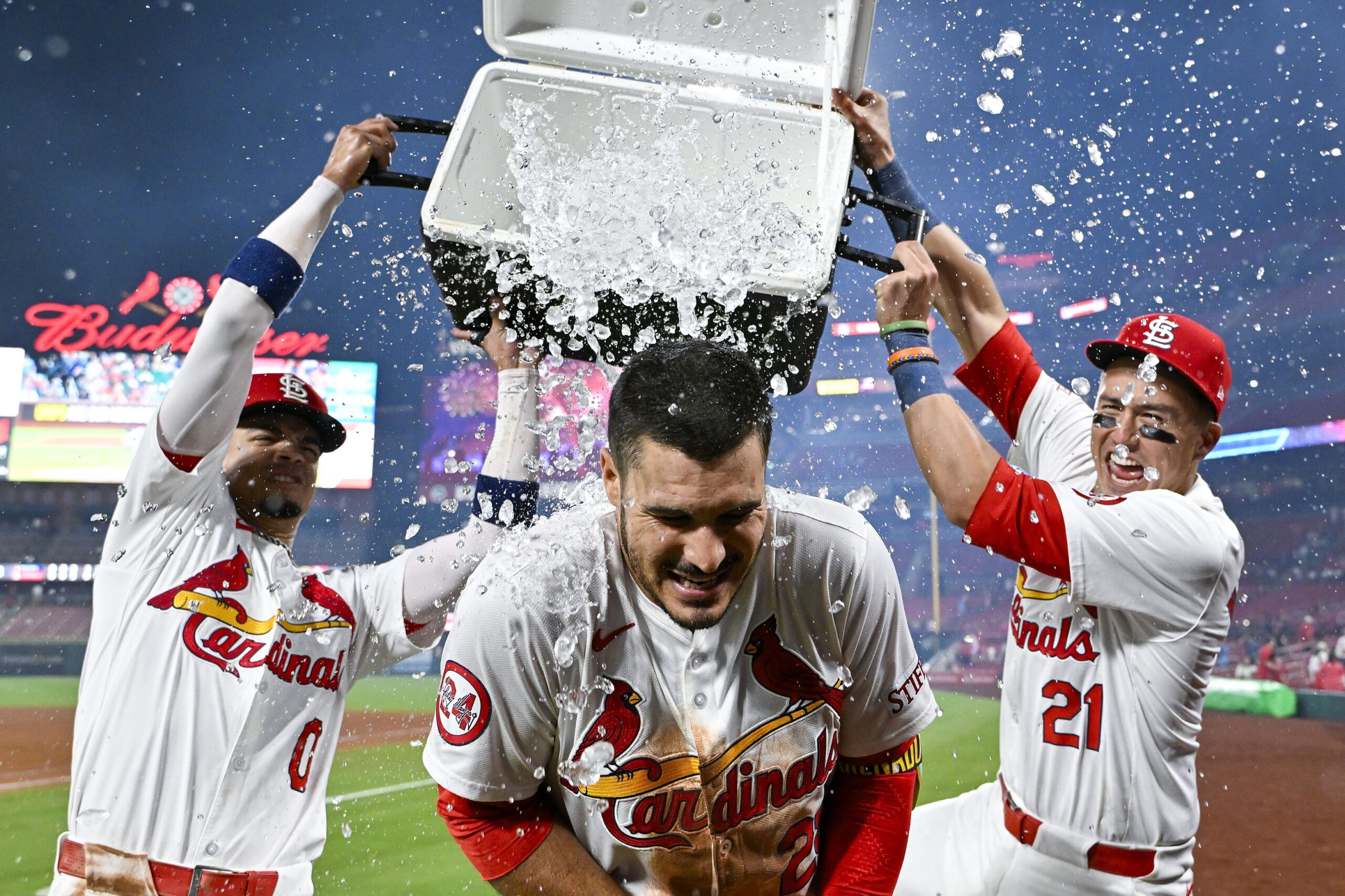 Bernie's Redbird Review The Cardinals Finally Played Desperate