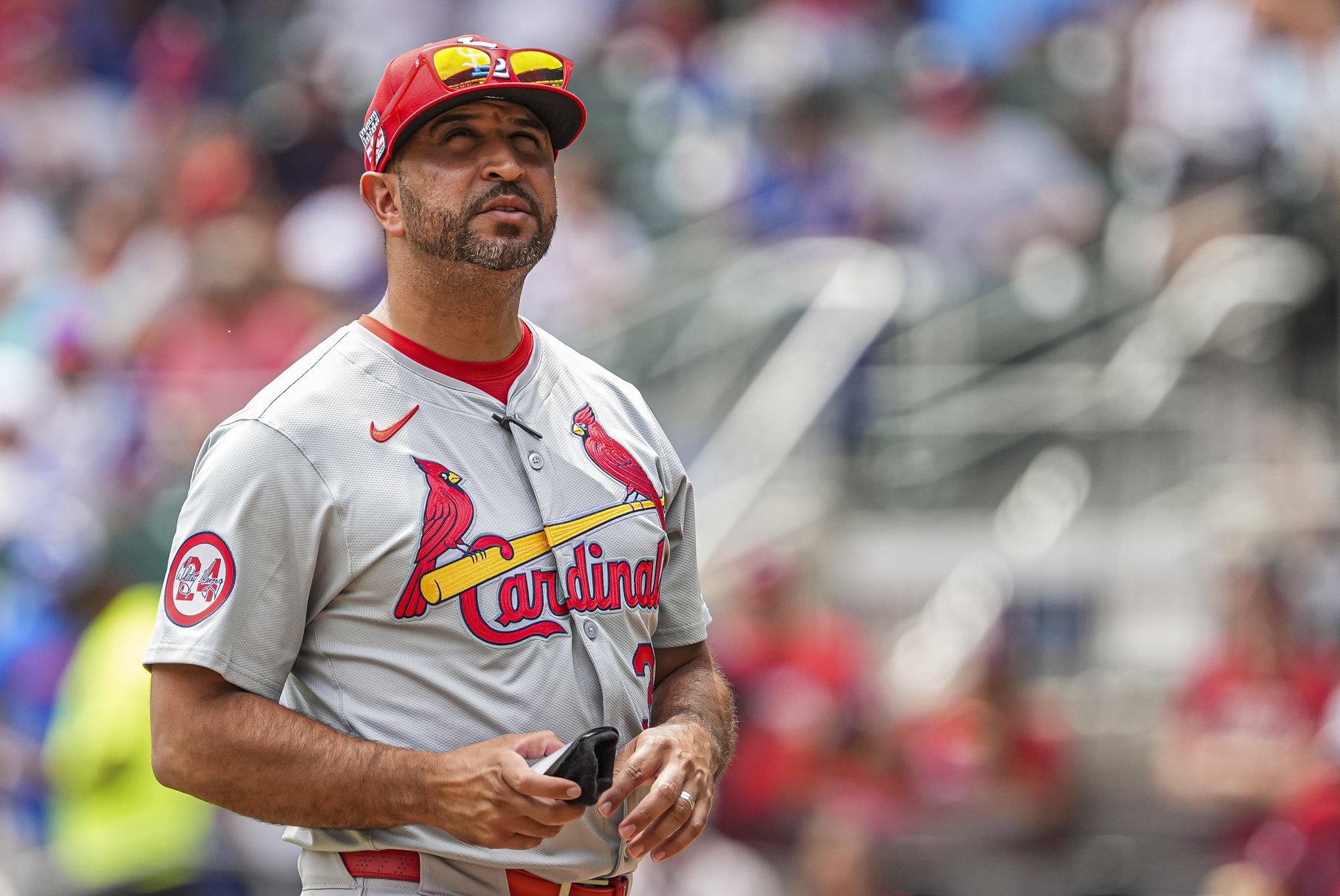 Bernie's Redbird Review Sorting Through Some Familiar Criticisms Of