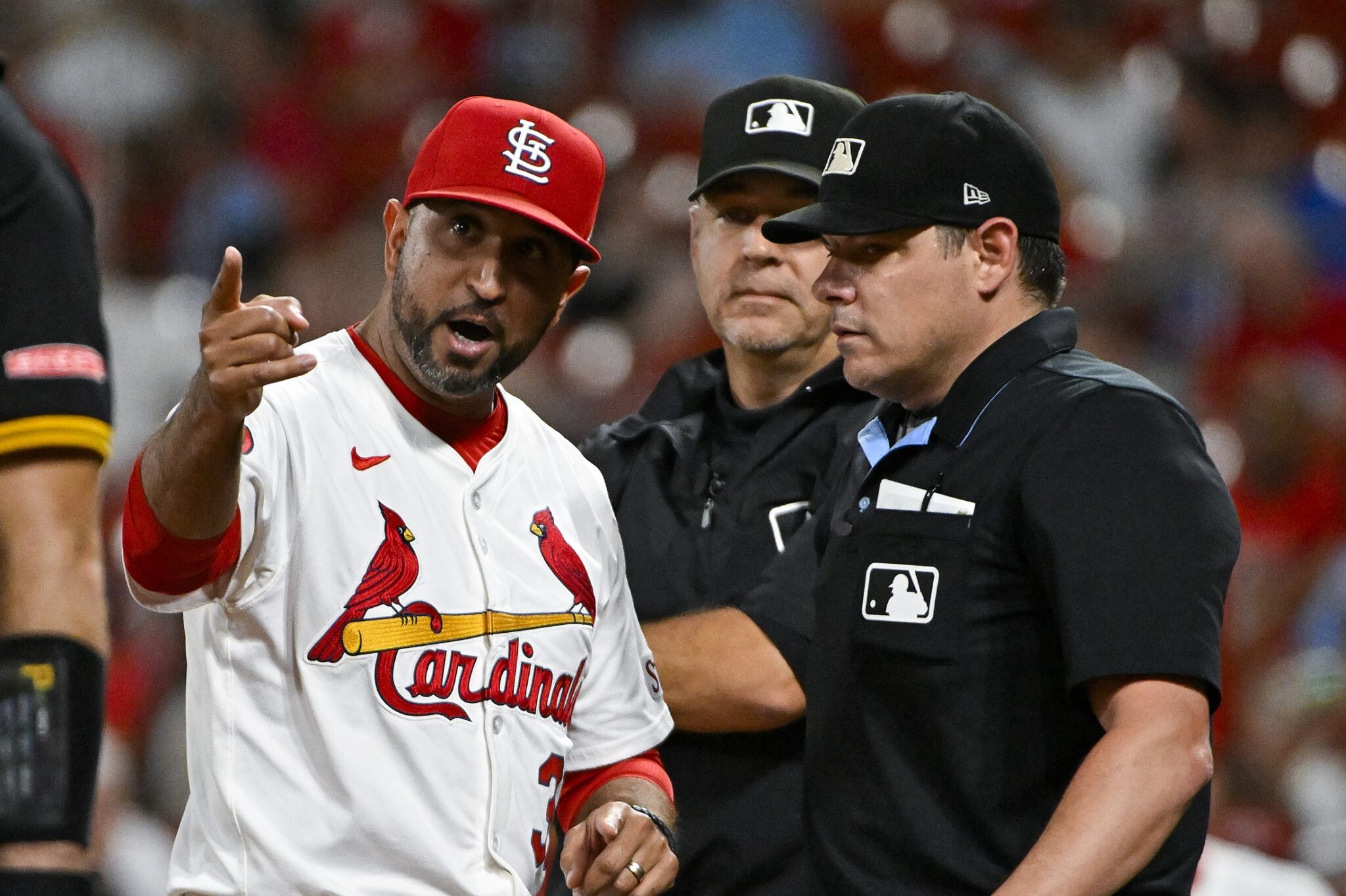 Bernie's Redbird Review The Cardinals Overachieved In 2024, But What